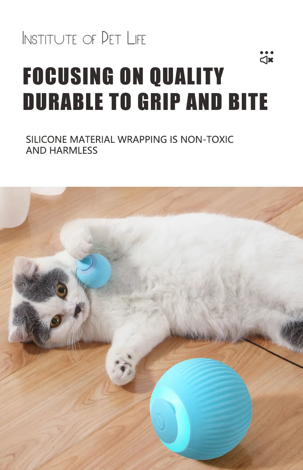 Indoor Magic Rolling Ball