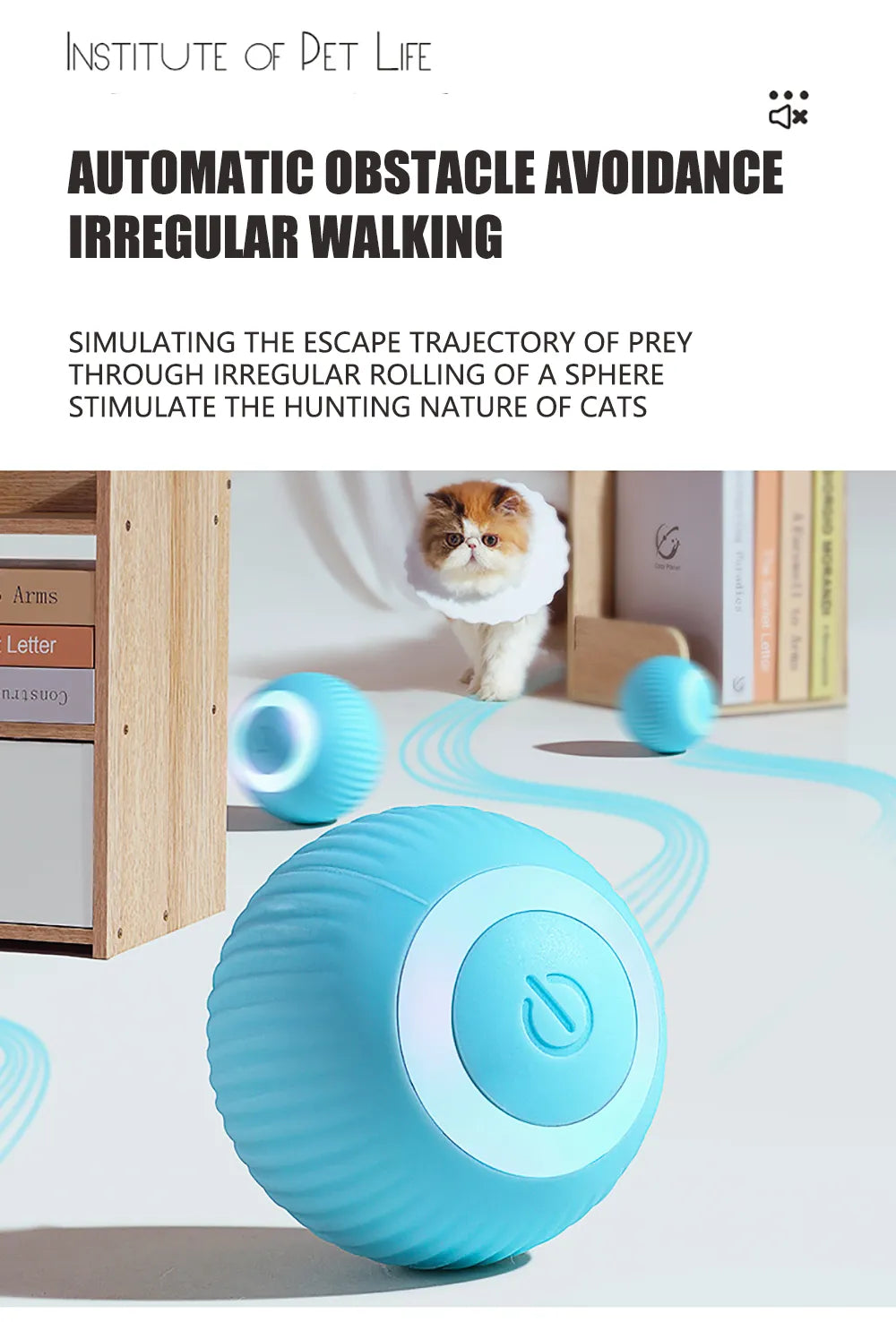 Indoor Magic Rolling Ball